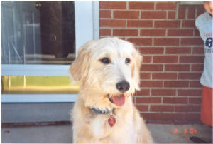 dixie7mos4.jpg